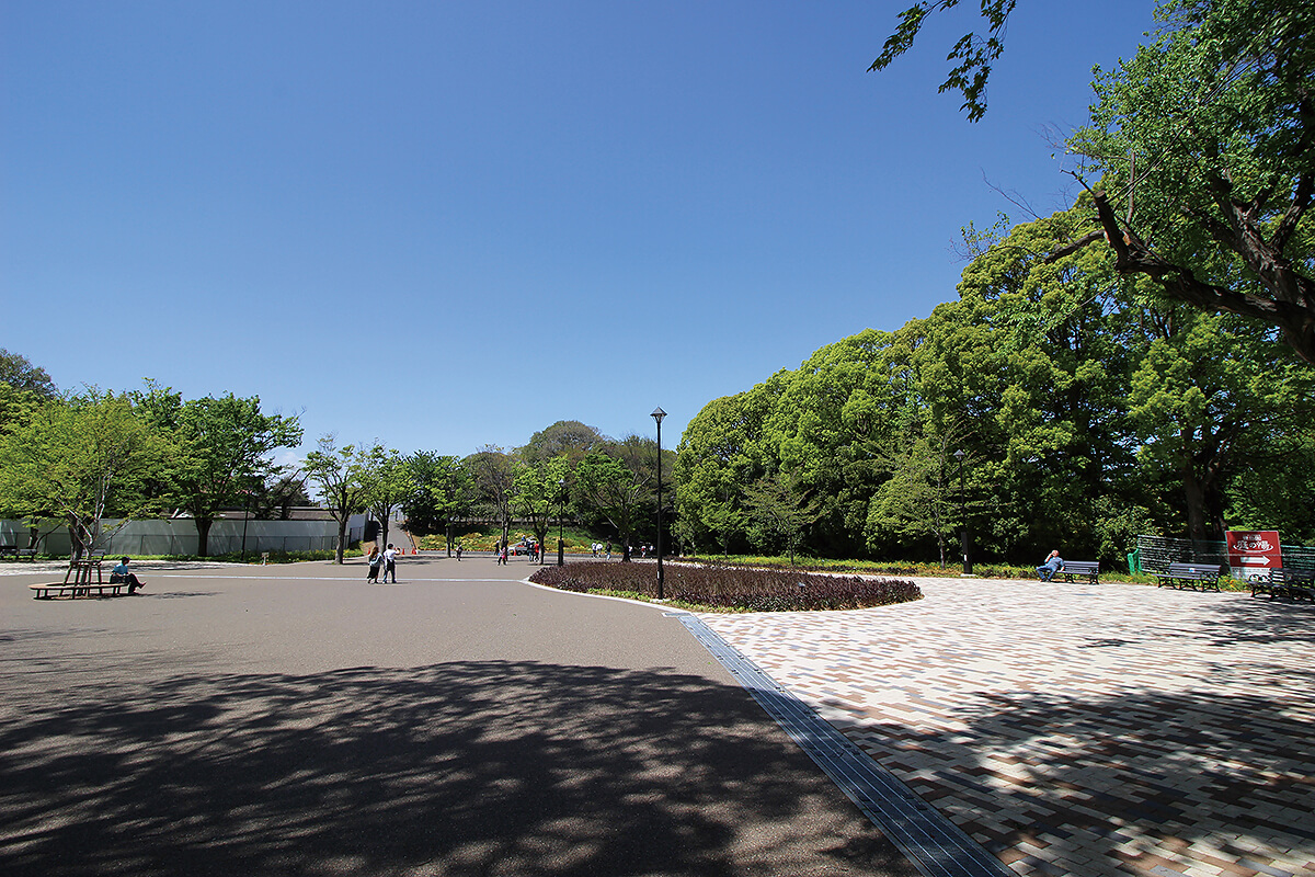 練馬城址公園　徒歩13分／約980m