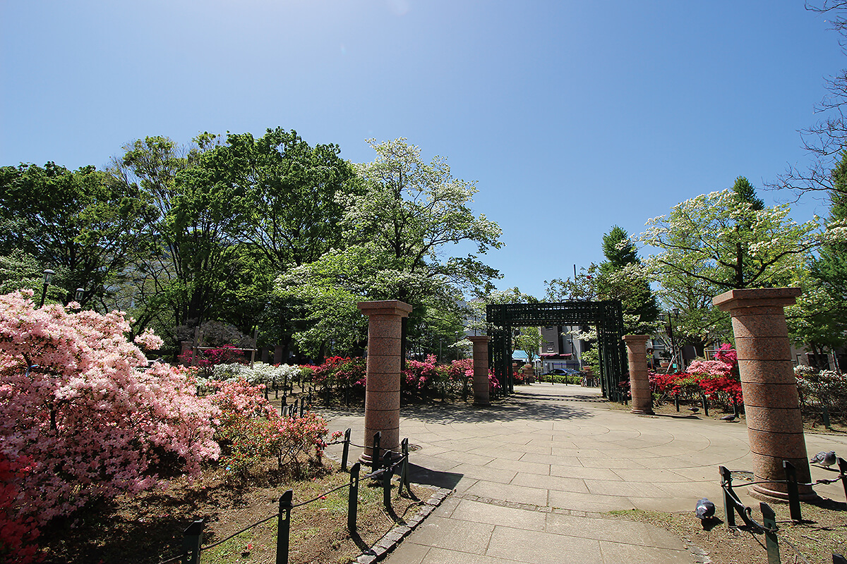 平成つつじ公園　徒歩13分／約1,030m