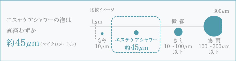 エステケアシャワー解説図