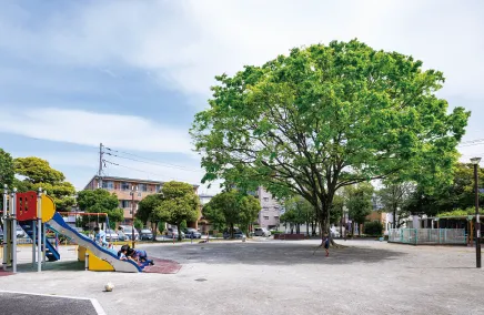 上の公園