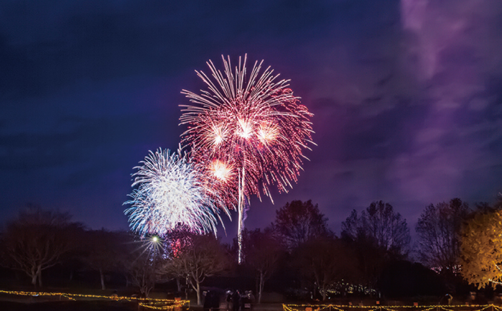 公園内花火イメージ写真