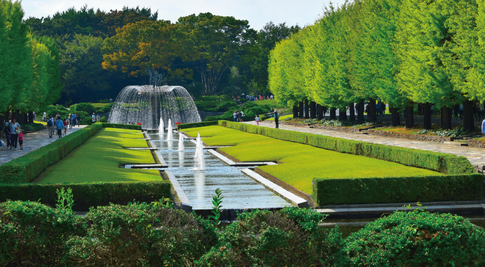 立川昭和記念公園